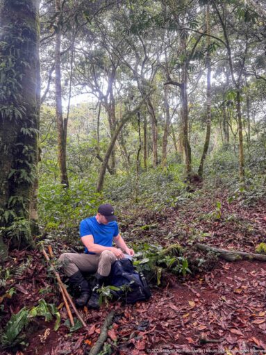 Trekker in a blue shirt sitting on the damp forest floor beside gear among roots and slender trees.