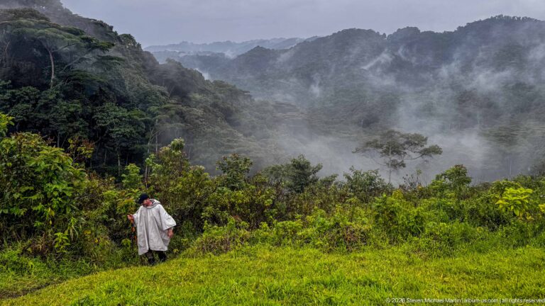 Trekker in a pale rain poncho walks toward dense forest as mist drifts across the mountain ridges ahead.