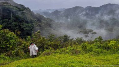 Trekker in a pale rain poncho walks toward dense forest as mist drifts across the mountain ridges ahead.