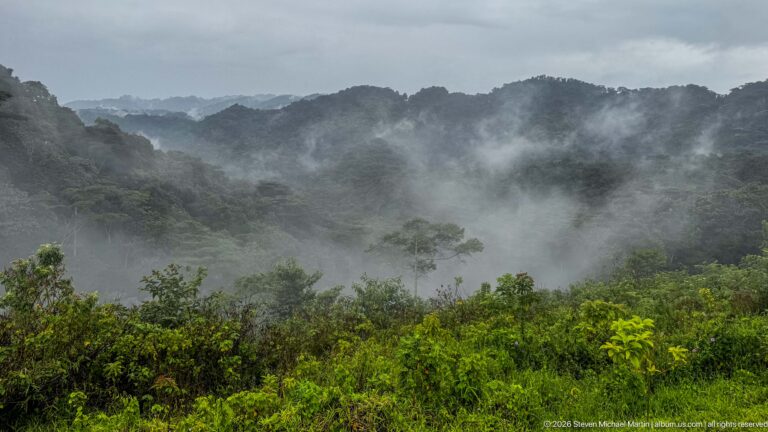 Bright green foreground vegetation overlooks dark forested ridges with mist pooling through the valleys.