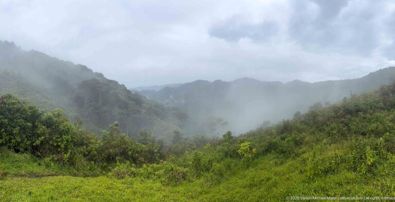 Low cloud and mist drifting through densely forested mountain ridges above wet grass and shrubs.