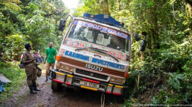 Decorated Isuzu truck stopped on a narrow forest road with several people standing beside it.