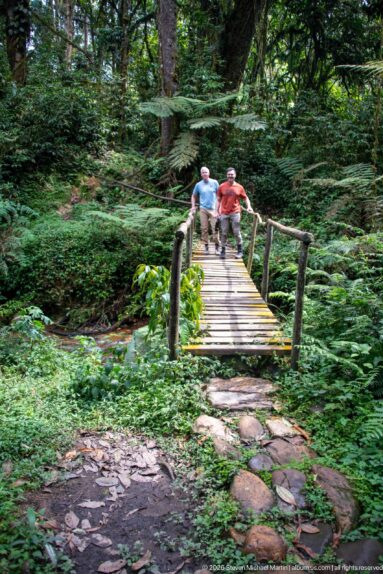Rustic wooden footbridge in dense forest with two people standing at the far end.
