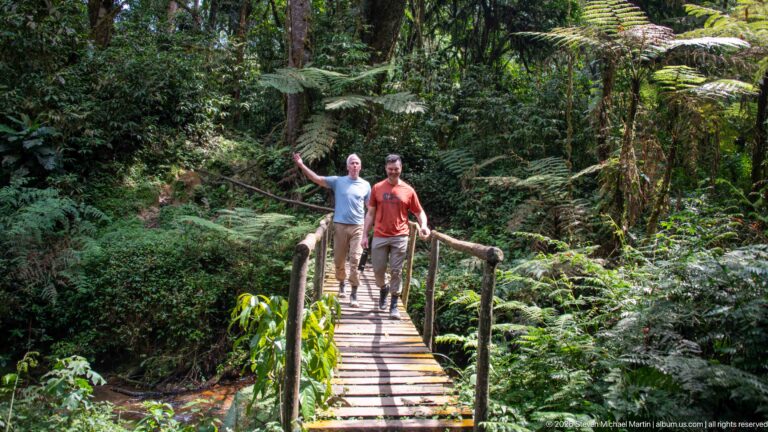 Two hikers walking across a narrow wooden footbridge in dense fern-filled forest.