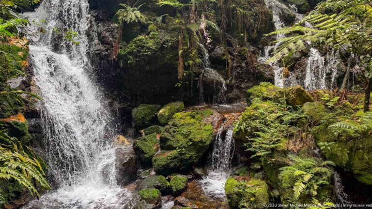 Narrow waterfall falling beside mossy boulders and ferns in shaded rainforest.