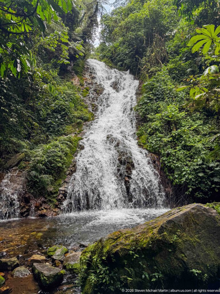Long sloping waterfall flowing through dense forest above a large moss-covered boulder.