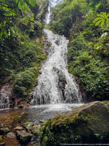 Long sloping waterfall flowing through dense forest above a large moss-covered boulder.