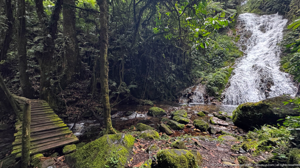 White forest cascade descends beside mossy rocks and a narrow wooden footbridge crossing the stream.