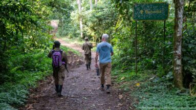 Three hikers walk along a shaded dirt trail through dense forest beside a green Buhoma sign.