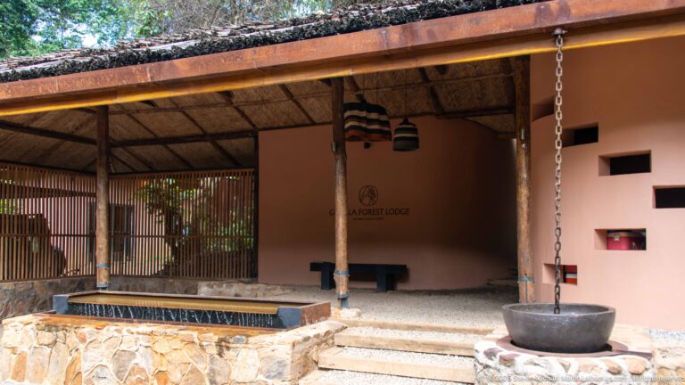 Covered lodge entrance with stone-faced water feature, hanging circular basin, timber supports and Gorilla Forest Lodge wall emblem.