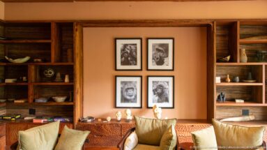 Four framed black-and-white primate portraits above small skull displays, flanked by wooden shelves and lounge chairs.
