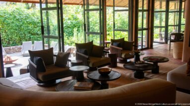 Armchairs and round tables beside tall windows overlooking dense greenery, framed by a curved sofa in the foreground.