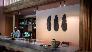 Staff member behind a lodge bar with rows of stemware, bottle shelves and three dark wall-mounted sculptures.