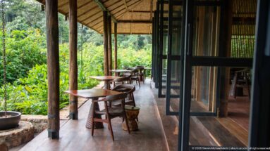 Covered wooden veranda with small tables, chairs and timber posts overlooking dense green vegetation beside open lodge doors.