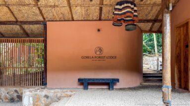 Gorilla Forest Lodge name and emblem above a dark bench, framed by timber screening, a wooden post and striped pendant shades.