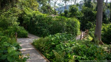 Curving paved path with wooden handrail descending through dense green lodge gardens and tall trees.