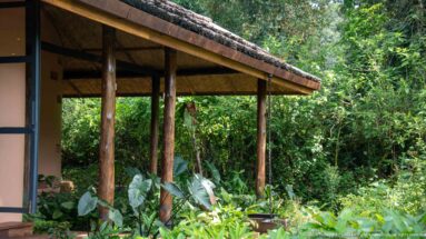 Covered lodge veranda with round timber posts and thick roof edge surrounded by dense green tropical vegetation.