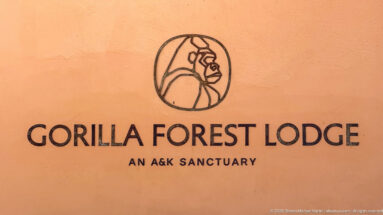 Black Gorilla Forest Lodge emblem and lettering with “AN A&K SANCTUARY” on a warm ochre wall.