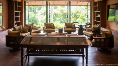 Armchairs and low tables arranged around a glass-topped display table before large windows overlooking dense greenery.