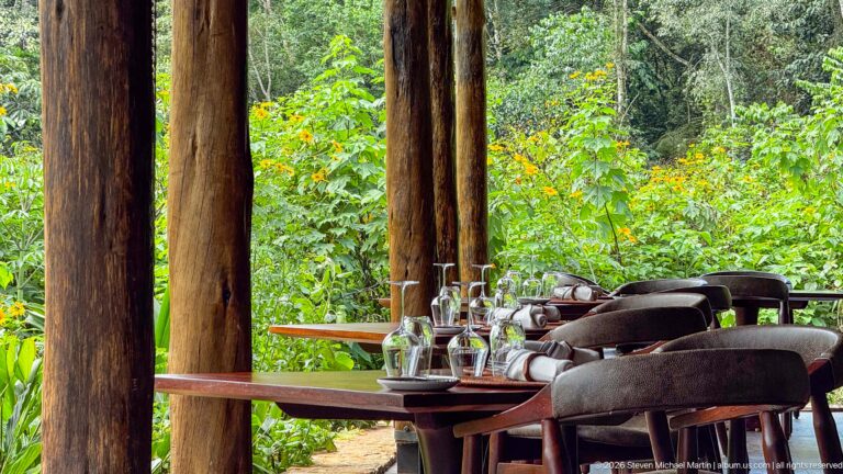Dining table set with glasses and folded napkins on a covered timber terrace beside dense flowering forest vegetation.