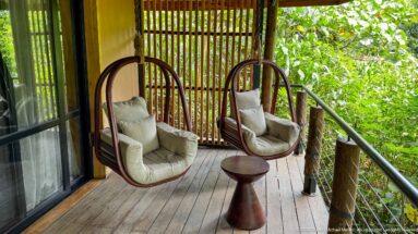 Two cushioned hanging chairs and a small table on a timber balcony directly beside dense forest vegetation.