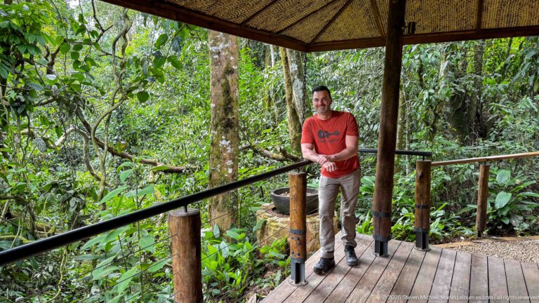 Man in a red shirt standing at the railing of a covered wooden platform surrounded by dense forest.
