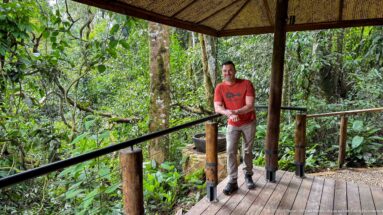 Man in a red shirt standing at the railing of a covered wooden platform surrounded by dense forest.
