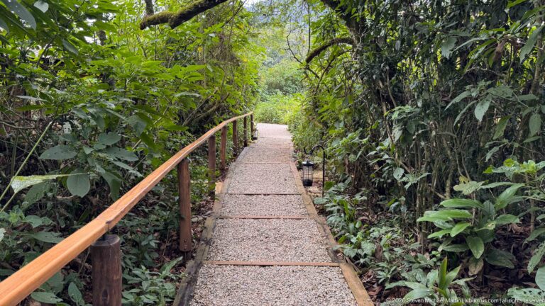 Narrow gravel walkway with wooden handrails passing through dense shaded tropical vegetation toward a bright opening.