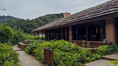 Long thatched-roof lodge building beside a curving gravel path and dense garden vegetation, with forested hills behind.