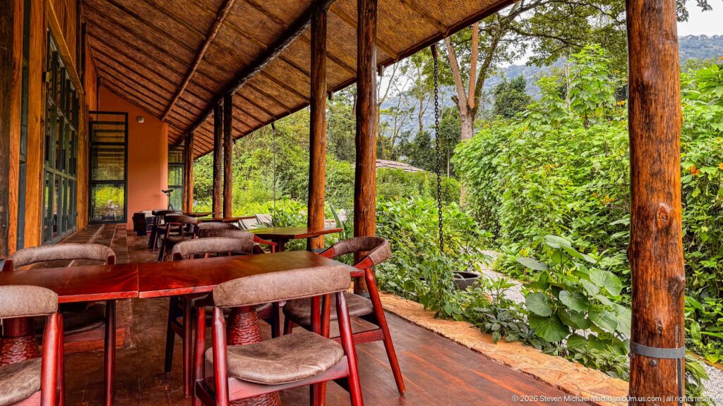 Dining tables and upholstered chairs on a timber veranda beside dense green forest at Bwindi Gorilla Forest Lodge.