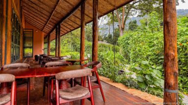 Dining tables and upholstered chairs on a timber veranda beside dense green forest at Bwindi Gorilla Forest Lodge.