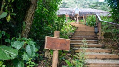 Outdoor steps with timber rails climb through dense greenery toward a lodge building, beside an “ALMOST THERE” sign.