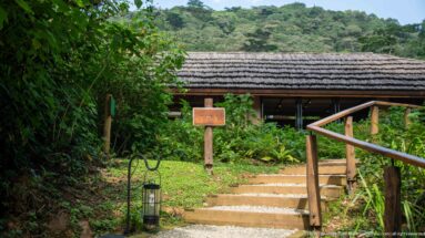 Gravel path and concrete steps with timber rails leading uphill to a low lodge building backed by forested slopes.