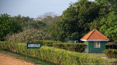 Blue Arrivals sign above trimmed hedges beside a small green hut at Kihihi airstrip.