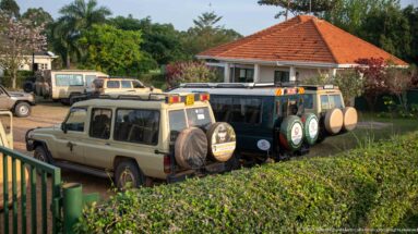 Safari vehicles parked closely beside hedges and the red-roofed Kihihi terminal.