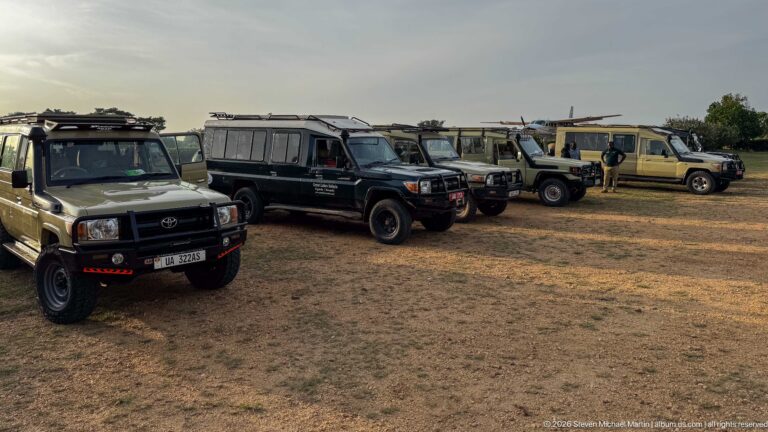 Several four-wheel-drive safari vehicles parked in a row on dry grass beside Kihihi airstrip.