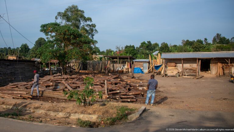 Cut logs cover an open yard bordered by rough wooden sheds as two people stand among the timber.