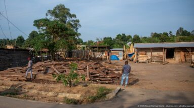 Cut logs cover an open yard bordered by rough wooden sheds as two people stand among the timber.