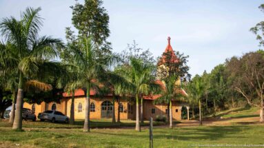 Brick church with arched windows, red roof and pointed tower behind palm trees on a grassy compound.