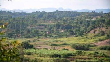 Patchwork fields, scattered houses, wooded hills and a distant mountain ridge in the rural landscape around Kihihi.