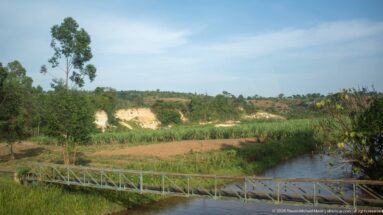 Narrow metal footbridge crossing a small river beside cultivated fields, tall crops, trees, and pale exposed slopes.