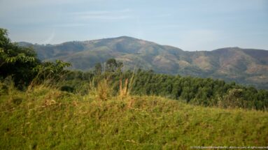 Grassy foreground and trees leading to rounded, partly cultivated mountain ridges under a pale blue sky.