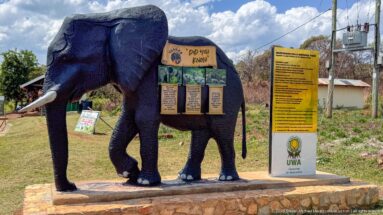 Large elephant model carrying educational panels beside a yellow Uganda Wildlife Authority information board.