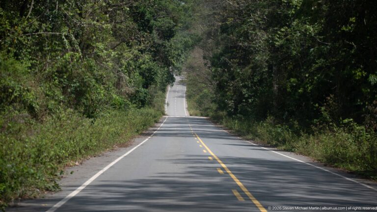 Two-lane paved road with yellow center line stretching through dense green woodland toward a distant rise.
