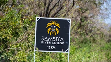 Black Sambiya River Lodge sign with a stylized lion emblem and “12 KM” standing among roadside vegetation.