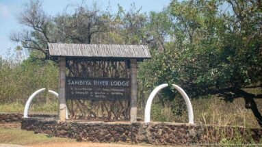 Close view of the rustic Sambiya River Lodge sign with branch framework, small roof, and white tusk-shaped arches.