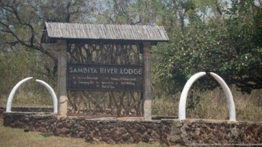 Rustic Sambiya River Lodge roadside sign beneath a small roof, flanked by two white tusk-shaped arches.