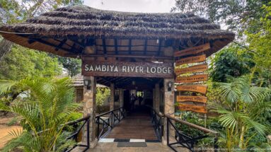 Thatched entrance to Sambiya River Lodge with a large name sign and smaller directional boards beside a raised walkway.