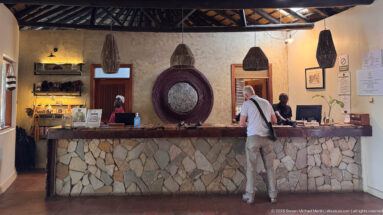 Guest standing at a stone-fronted lodge reception desk with staff, woven pendant lights, shelves, and wall decoration.