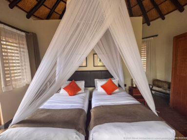Front view of two single beds under a peaked white mosquito net, with orange cushions and louvered windows.
